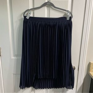 EUC navy pleated skirt